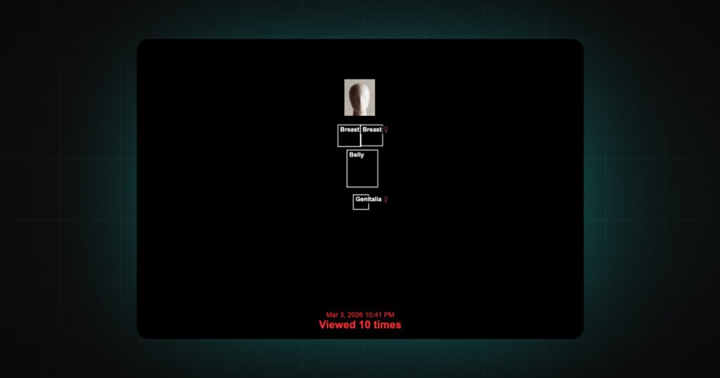 Box Label block style in DeniedPixels showing labeled detection zones on black background